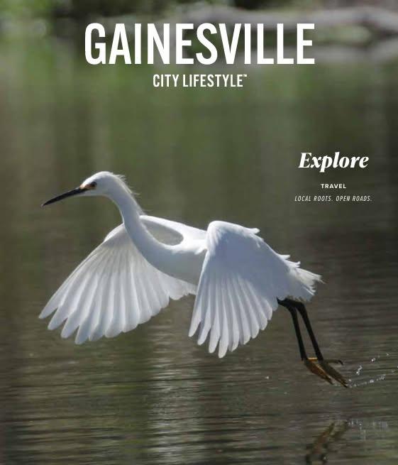 Gainesville City Lifestyle logo